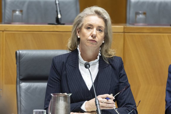 Nationals senator Bridget McKenzie in a senate committee hearing last month.