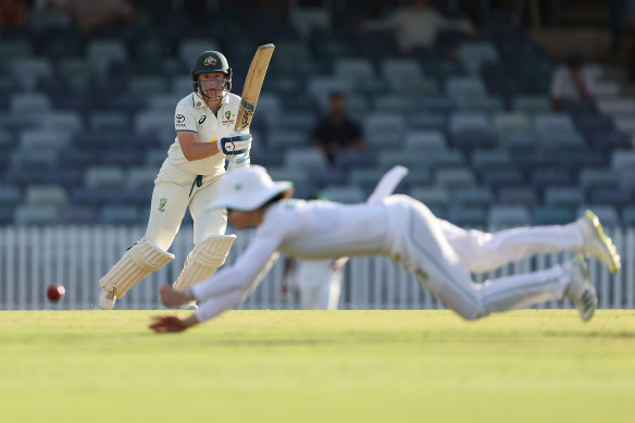Alyssa Healy on her way to 99 against South Africa at the WACA.
