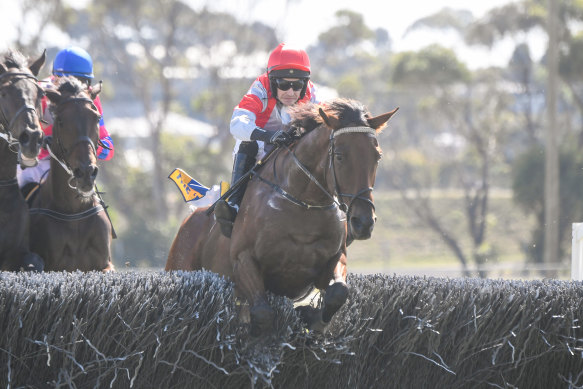Fulmineus racing at Warrnambool last year.