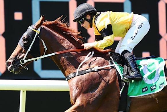 Cruel Summer winning a Midway handicap at Rosehill on March 30 last year.