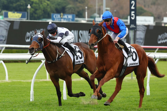Chad Schofield drives Golden Path away to victory at Randwick.