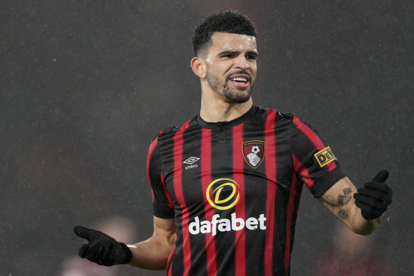 New signing … Dominic Solanke will join Spurs from Bournemouth.