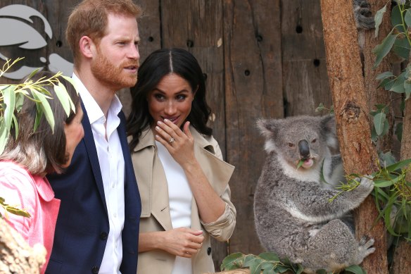 Harry and Meghan at Taronga Zoo during their tour of Australia.
