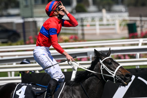 Jockey James McDonald celebrates as he passes the finishing post on Verry Elleegant to take out the Melbourne Cup.