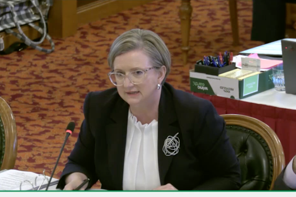 Office of Industrial Relations deputy director-general Megan Barry during estimates in July. She fronted a committee considering Bleijie’s new bill on Monday.