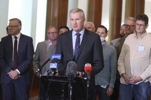 Tony Burke has warned against easing restrictions in selected suburbs.