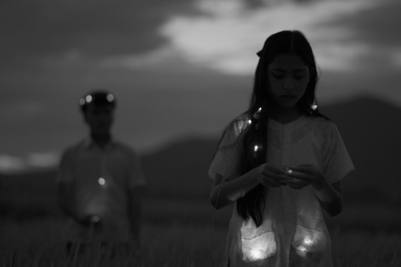 A still from Phan Thao Nguyen’s video Mute Grain (2019).
