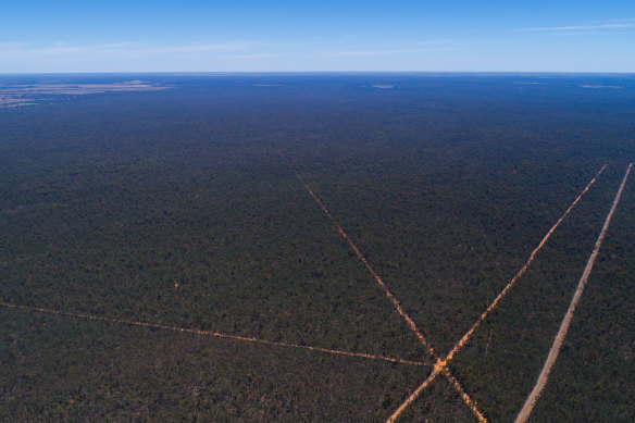 An aerial view of the 5800-hectare Saving Our Species sanctuary in the Pilliga.