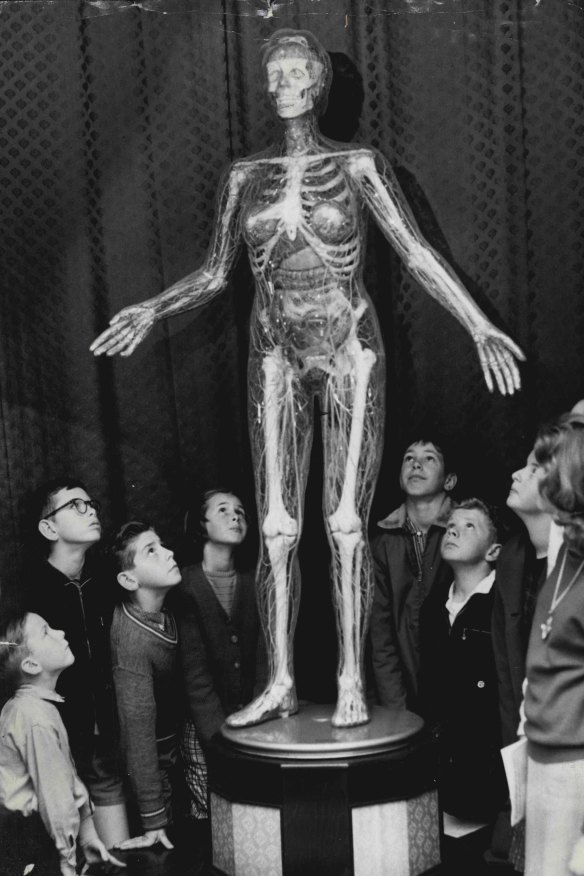 School children looking at Transparent Woman at the Museum of Applied Arts and Sciences in 1963.