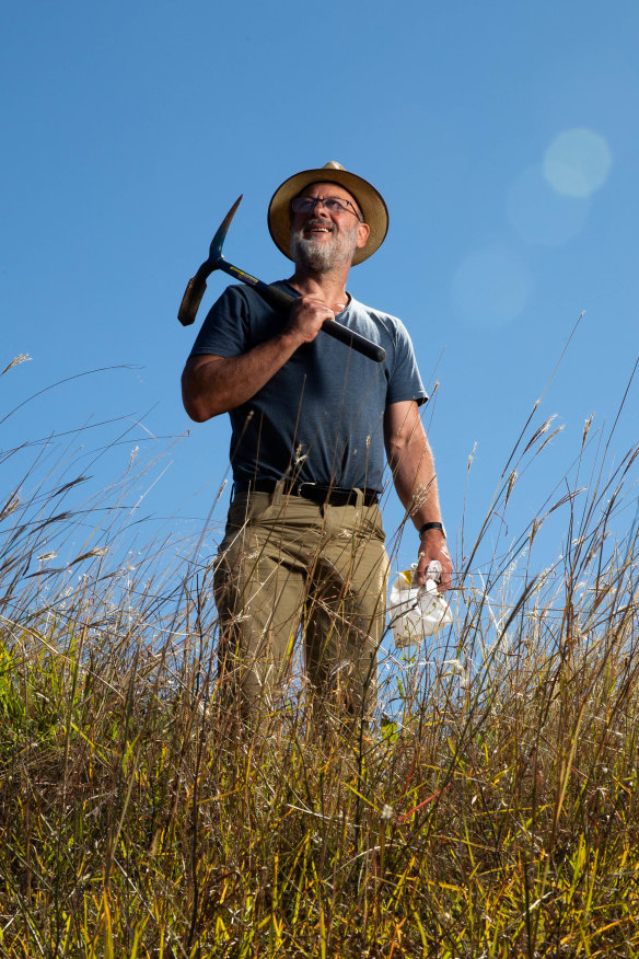 “The red fox is the worst pest to have arrived in Australia,” says Tim Flannery.