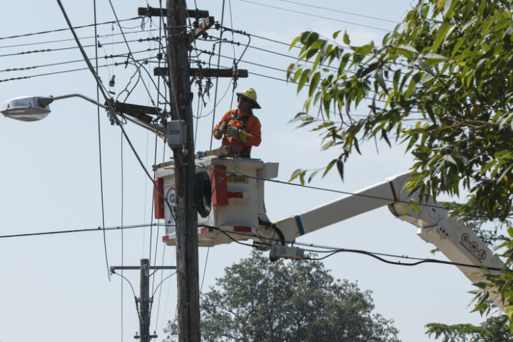 Sydney Power Outages Could Last To Sunday