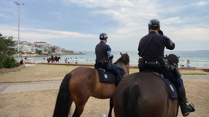 More police, fewer revellers in Sydney NYE like no other