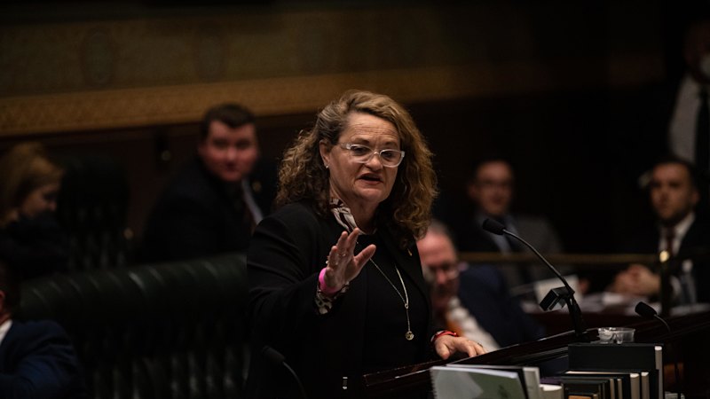 The embarrassing email blunder that revealed NSW Libs’ stance on gun laws