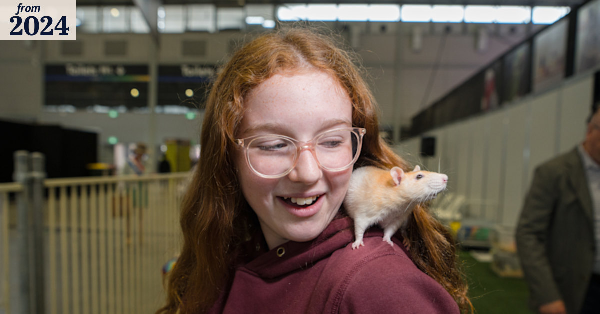 Sydney Royal Easter Show: rat and mice competition