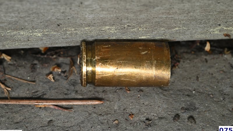 ‘I could see his face had been shot out’: Court hears of underworld figure’s final moments