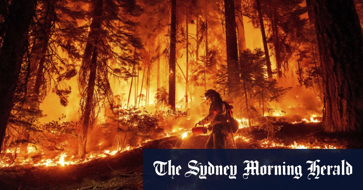 World of photos, August 9, 2024