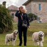 Louisa Larkin from the Callan Park Dog Lovers Group walks her Golden Retrievers Lily and Pickles in a part of the park where dogs are allowed off-leash.
