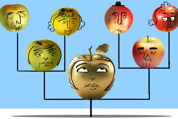 Balancing trust(s).