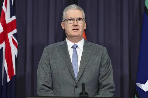 Home Affairs Minister Tony Burke abruptly postpones National Press Club  address | Nine.com.au