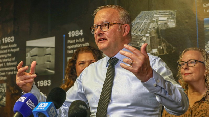 Albanese steps in to hash out final deal to save Tomago