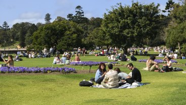 People took advantage of eased restrictions to enjoy picnics in the Royal Botanic Gardens in Sydney on Saturday.