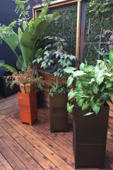 bose mushroom outdoor speakers