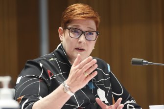 Foreign Affairs Minister Marise Payne.
