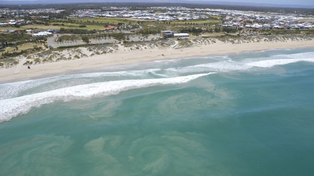 All metropolitan coastal drownings occured in waters between Fremantle and Mandurah. Image of Secret Harbour beach from the SLSWA helicopter.