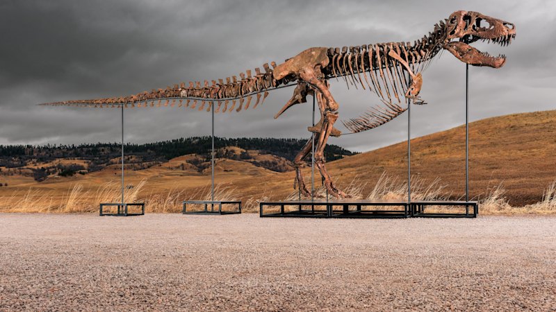 T. Rex Sotheby’s müzayedesinde rekor kırdı