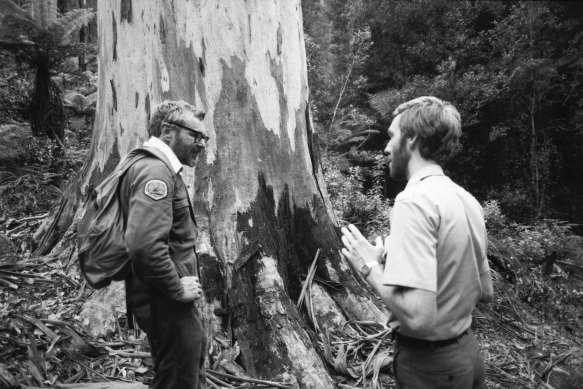 Patrick Ryan (left) and local ranger Tony Horwood, pictured in the Blue Mountains with E. Deanei, the tallest tree in New South Wales.
