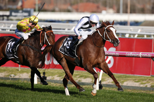 Pippie winning the group 3 Cockram Stakes earlier this month.