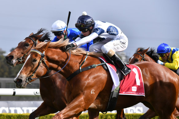 Blazing Miss wins her maiden at Canterbury in June.  Robbie Dolan is in the saddle again at Randwick on Wednesday.