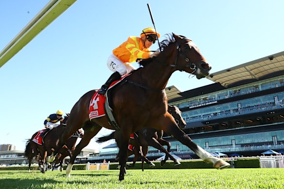 Shangri La Spring wins the Frank Packer Plate.