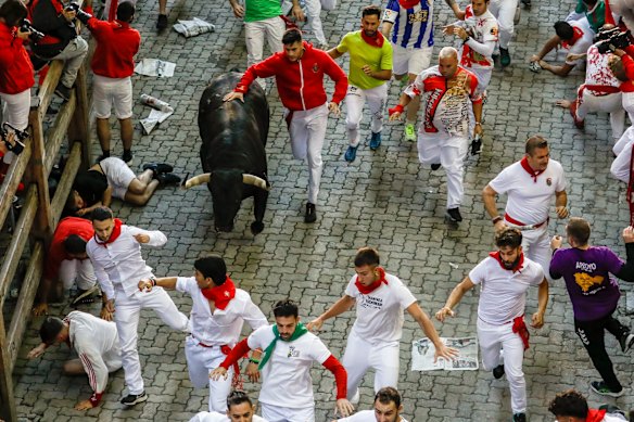 The Running of the Bulls in Pamplona, after which six bulls a day are slaughtered.