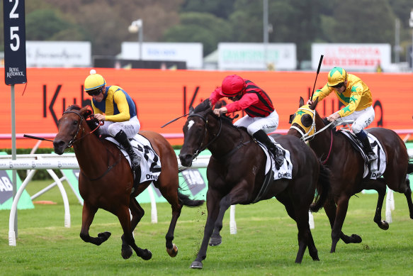 Tropical Squall (right) wins the Surround Stakes.