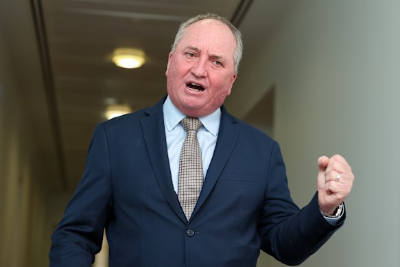One Nation MP Barnaby Joyce. 