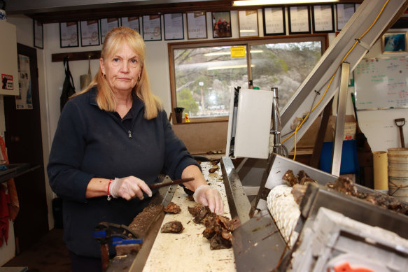 "We were finally getting back on top": Caroline Henry at Wonboyn Rock Oysters near the Victorian border.