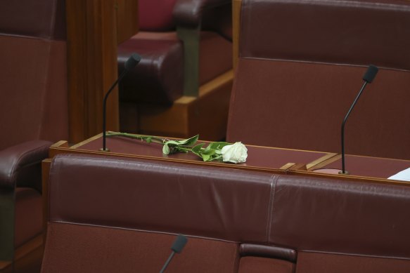 A flower is placed on the desk of the late Senator Kimberley Kitching, during a condolence motion on Monday.