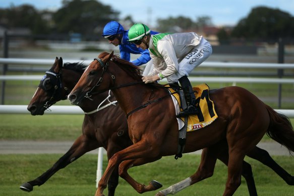 Danger: Onthetake (green cap), seen here winning at Newcastle, is a good chance in race 5 at Wagga on Sunday.