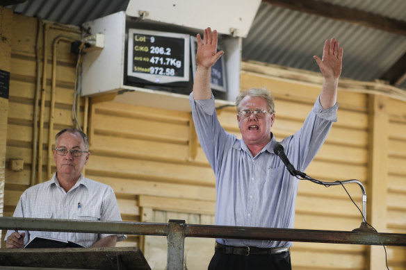 Stock agent Kevin Cocciola said a lot of properties now haven't got any cattle left at all.