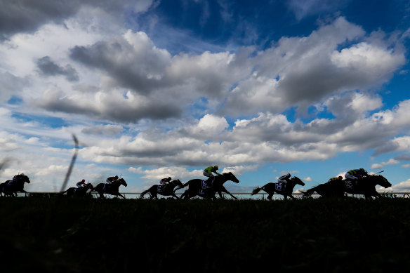 Arcadia Power is well over the odds in race four after chasing home the smart and dominant One Aye here last start, and this looks a nice peak distance fourth-up.