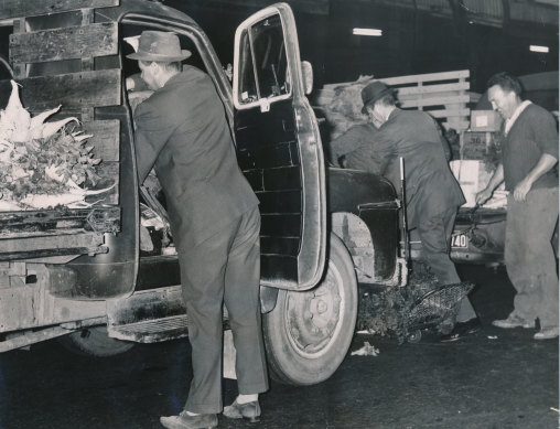Police search for weapons during a dawn raid in 1964 on Victoria Market as part of an investigations into mafia-style shootings.