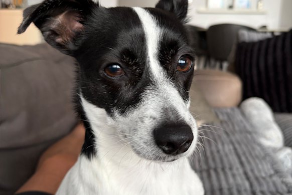 Elbie before her advenuture