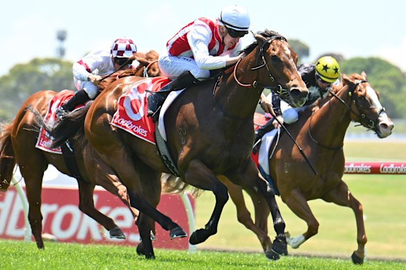 Right race, right time: Freedmans snap into action for trip to Rosehill