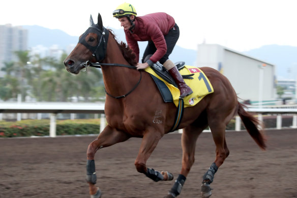 Aethero is the pre-post favourite for the  Hong Kong Sprint (1200m).