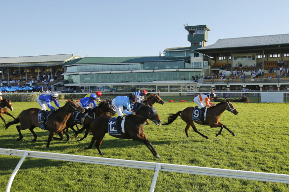 An eight-race card is programmed at Newcastle on Wednesday.