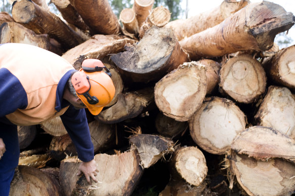 Protesters attempting to prevent or disrupt native forest logging in Victoria would face 12 months’ jail, or $21,000 in fines.