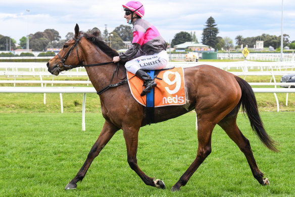 Sirileo Miss returns to racing after testing positive to formestane, a product used to treat breast cancer.