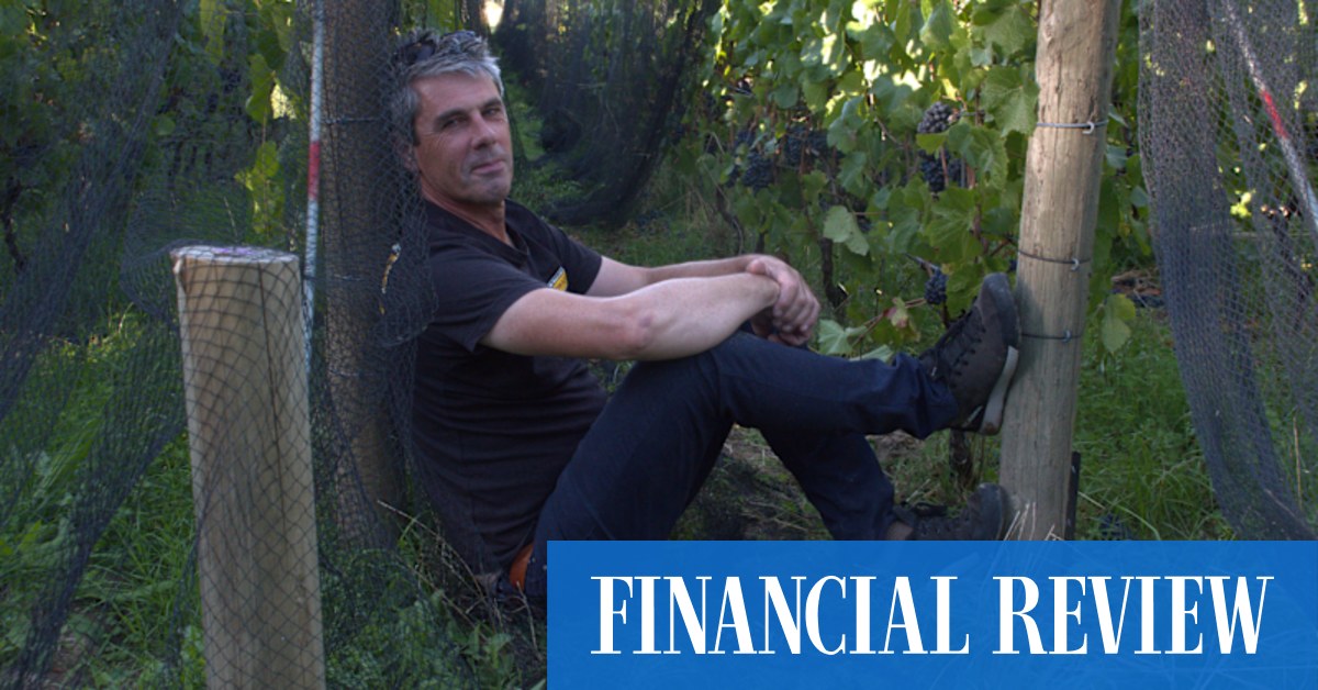 afr.com - Max Allen - The high-density secret behind these excellent young wines