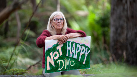 ‘Chaos’: Parks Victoria under review as national parks promises broken